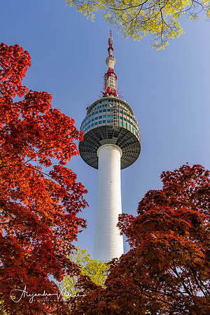 N Tower