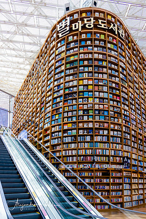 Starfield Library