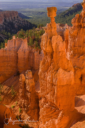 Thors Hammer - Bryce Canyon