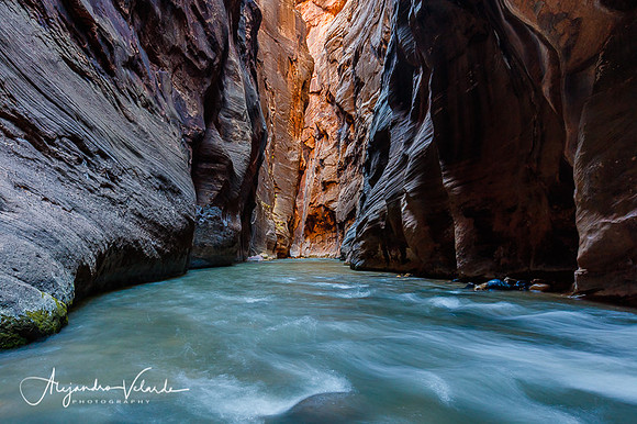 The Narrows - Zion Natl. Park