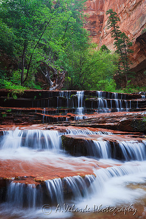 Left Fork Trail - Zion National Park