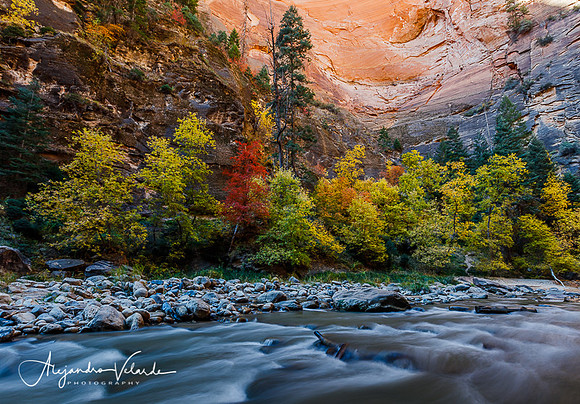 The Narrows - Zion Natl. Park
