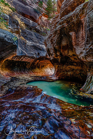 The Subway - Zion Natl. Park