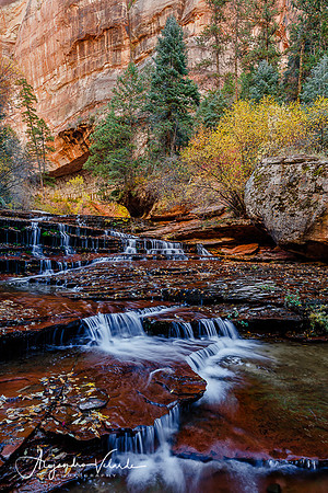 Left Fork Trail - Zion Natl. Park