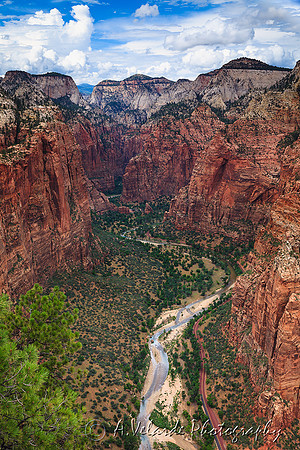 Zion Canyon