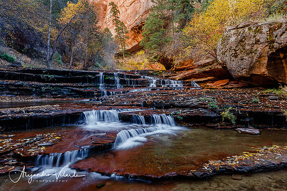 Left Fork Trail - Zion Natl. Park