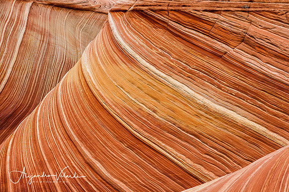 The Wave - Arizona
