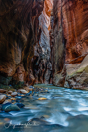 The Narrows - Zion Natl. Park
