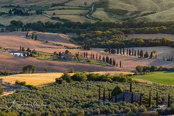 Hills of Tuscany, Monticchiello