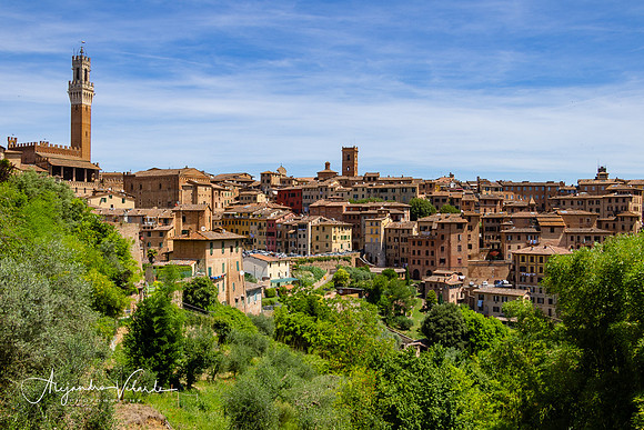 Siena