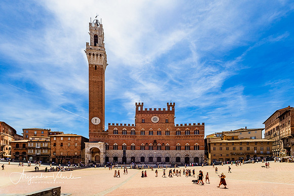 Piazza del Campo, Siena