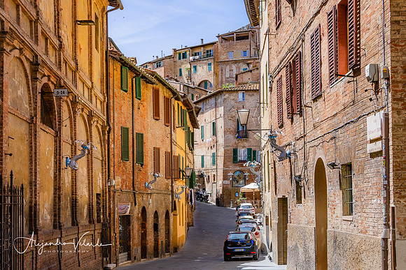 Streets of Siena