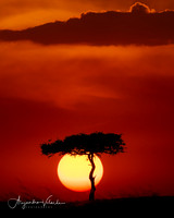 Sunset, Masai Mara