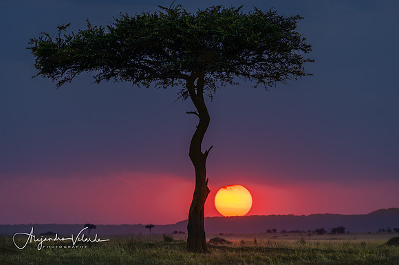 Sunset, Masai Mara