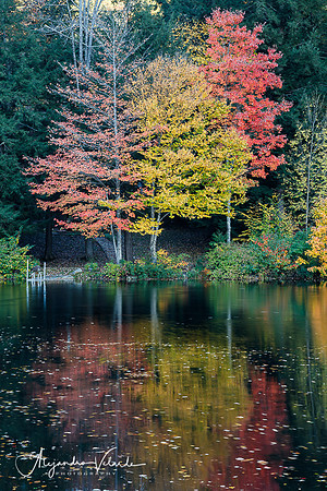 Central Vermont