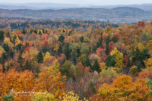 Hogback Mountain