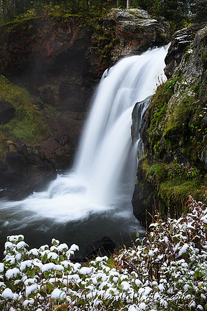 Lower Falls - Yellowstone
