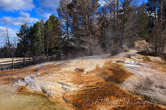 Mammoth Hot Spring Terraces - Yellowstone