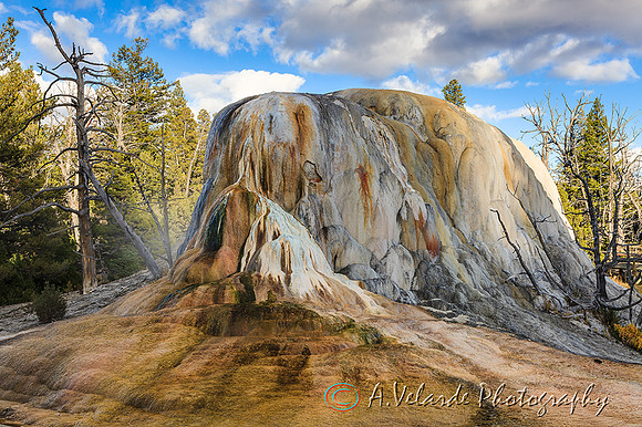 Mammoth Hot Spring Terraces - Yellowstone