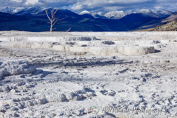 Mammoth Hot Spring Terraces - Yellowstone