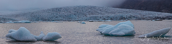 Fjallsarlon Glacial Lagoon