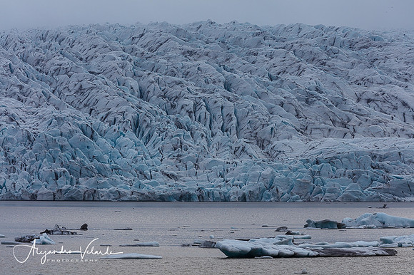Fjallsarlon Glacial Lagoon