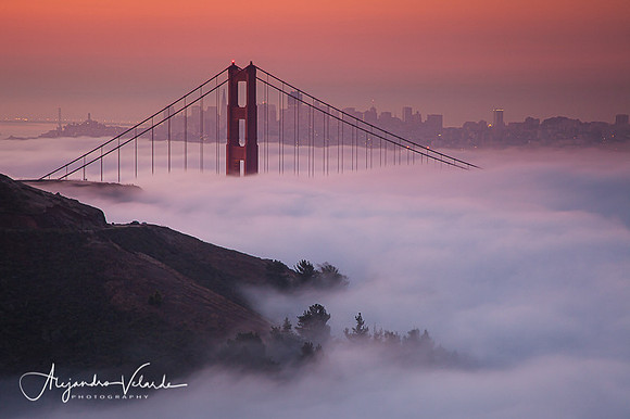 Golden Gate Bridge - Morning Fog