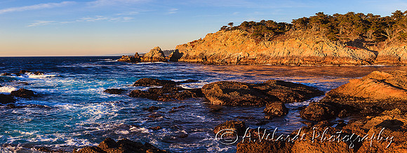 Point Lobos, Monterey, CA