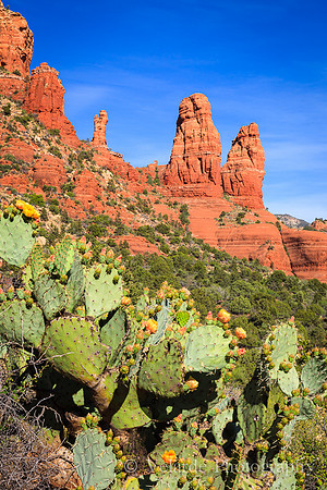 Sedona