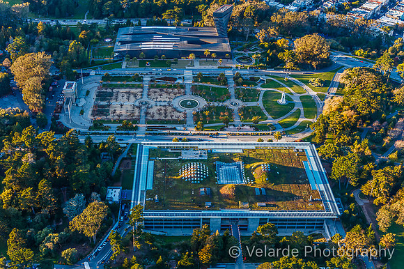 California Academy of Science & De Young Museum