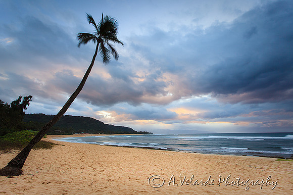 Sunset Beach - Oahu