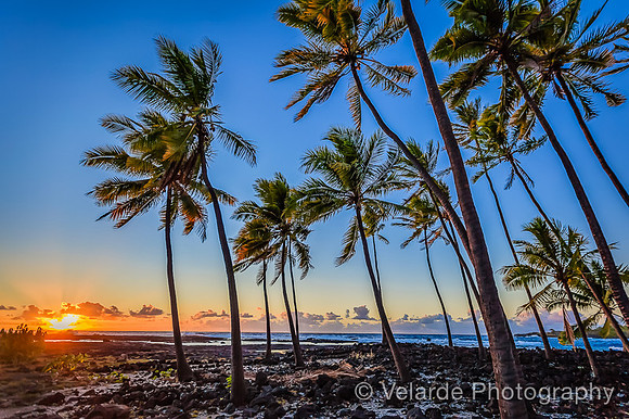 Pu'uhoua- Big Island