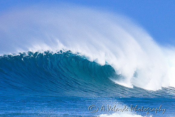 North Shore Coastline