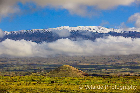 View of Mauna Kea - Waimea- Big Island