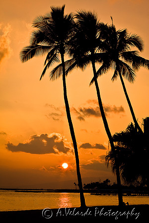 Waikiki - Oahu