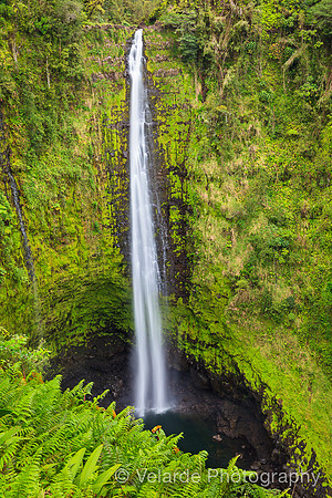 Akaka Falls- Big Island