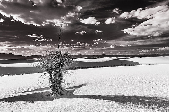 White Sand Dunes Natl. Monument - New Mexico