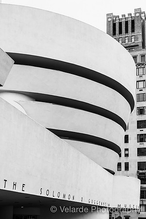 Guggenheim Museum